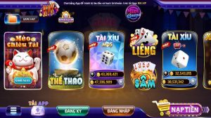 Chi tiết chính sách bảo mật của RIKVIP